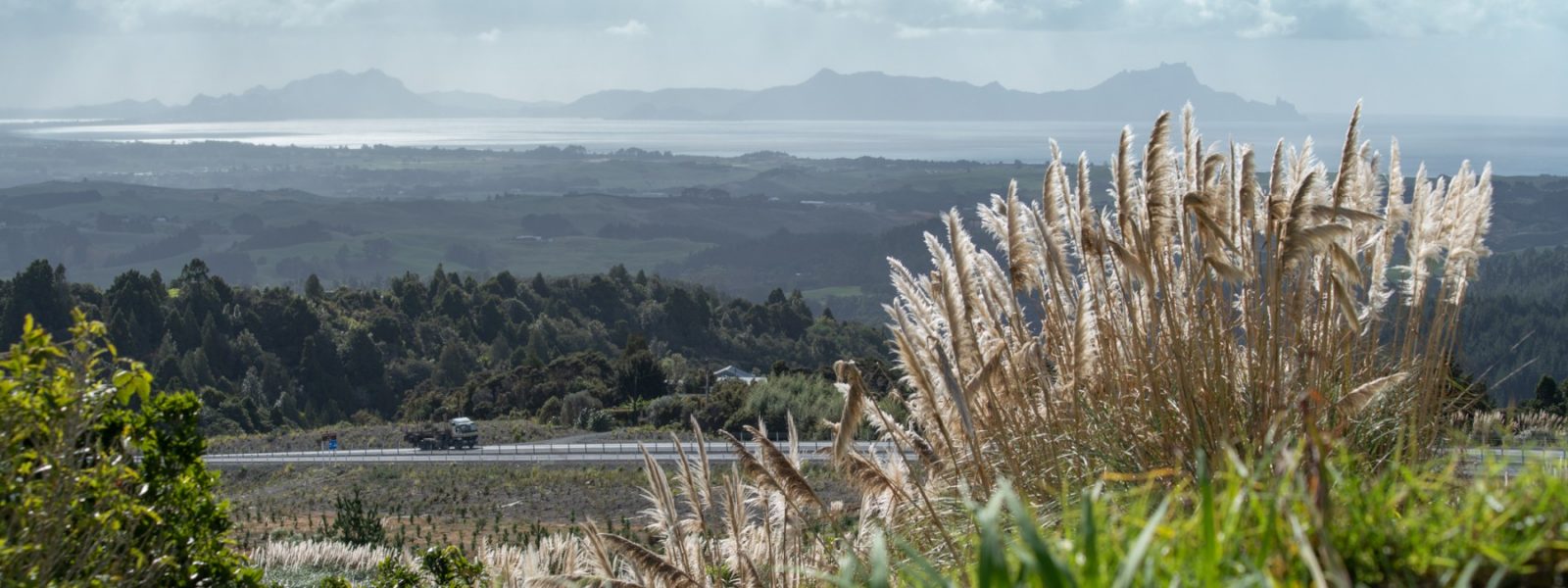 Brennderwyn-Manaia-1600x600